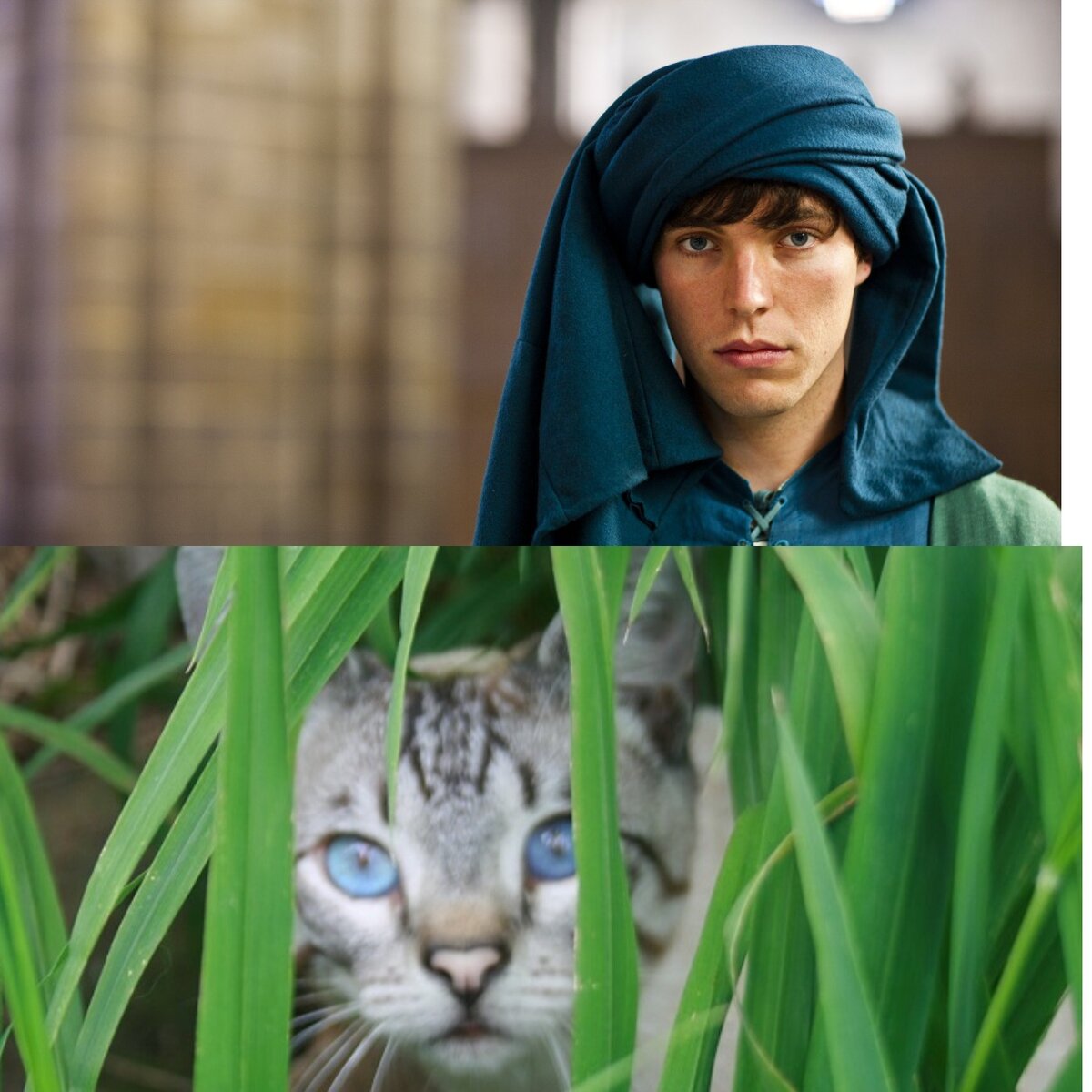 Эдмунд ( мой образ, его портретов, увы, не сохранилось ) 