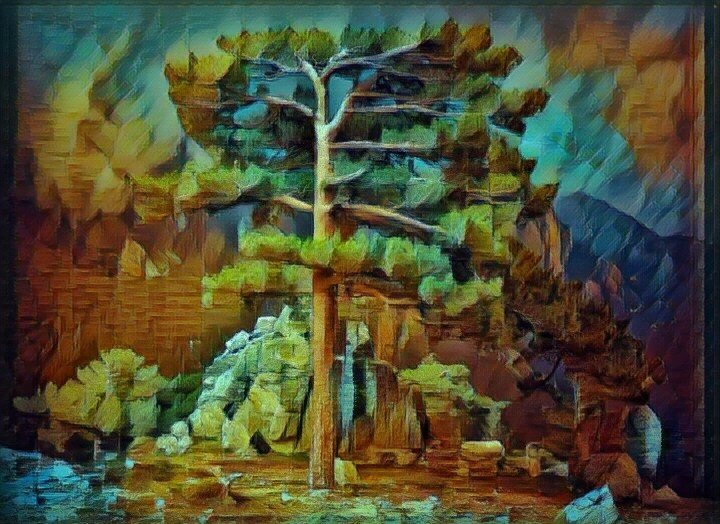 Волшебные сосны