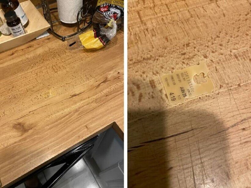    16 раз, когда вещи и животные случайно продемонстрировали навыки маскировки