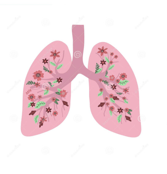 Фото из интернета. Не хочу пугать страшными картинками, поэтому пускай будет весёлая.