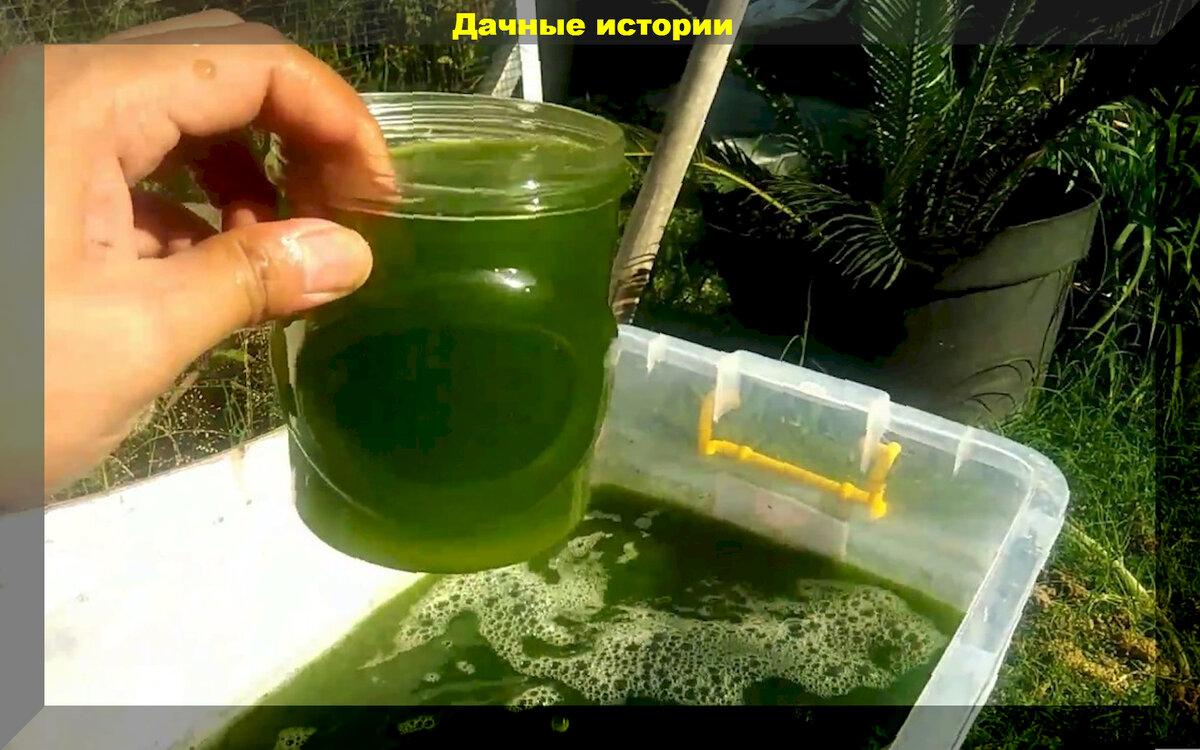 https://vk.com/photo-159774511_457258637