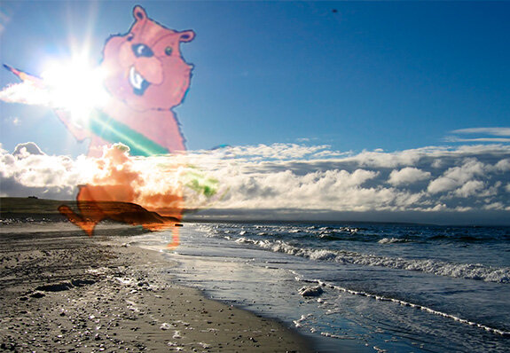 тест: Карское море