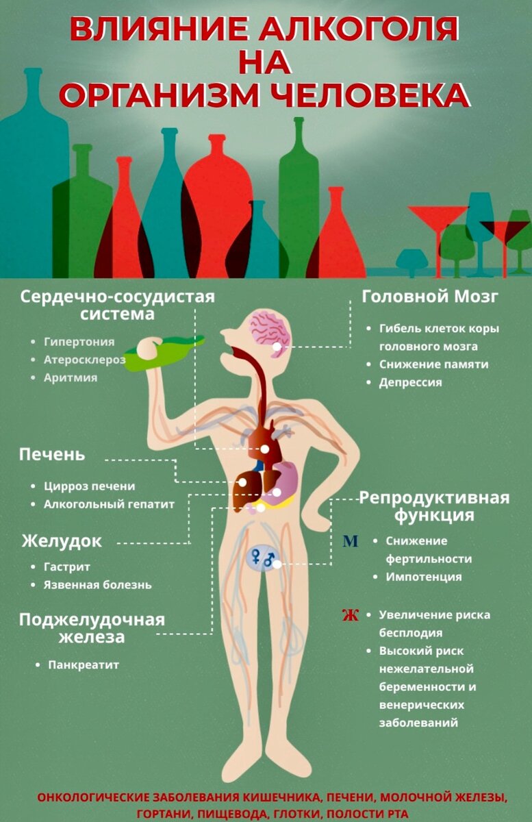 Мало кто знает, почему в пожилом возрасте не стоит пить водку. Объясняю на  пальцах | ПИВКО И РЫБКА | Дзен