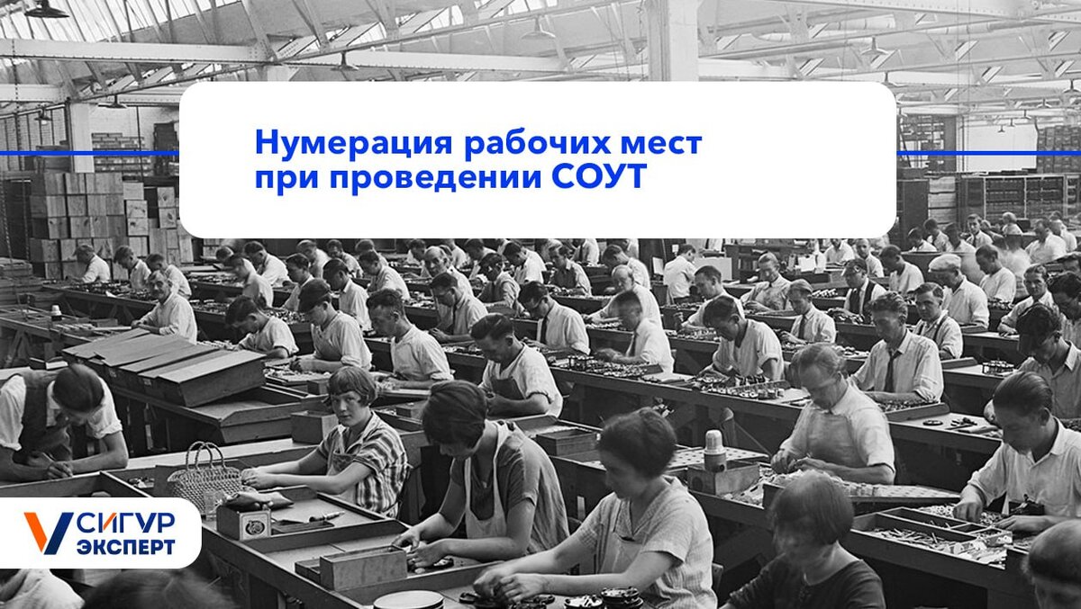 Специальная оценка условий труда 2024 изменения