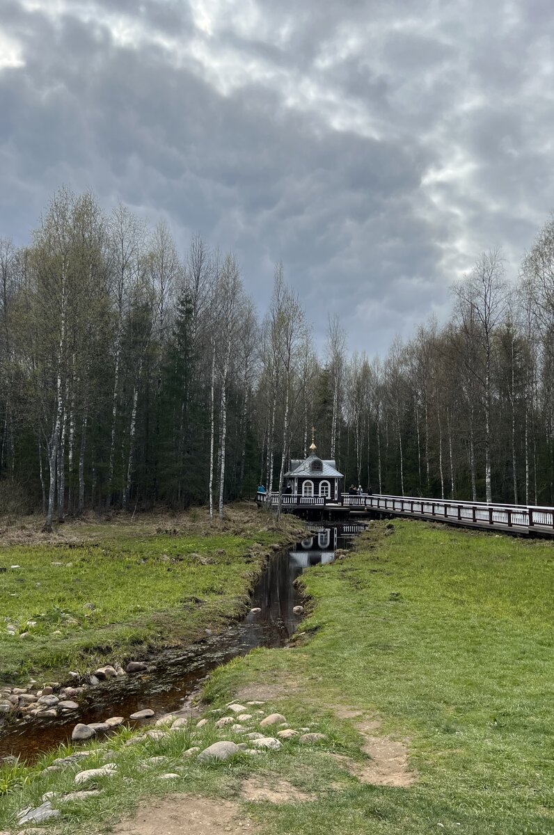 Фото автора статьи