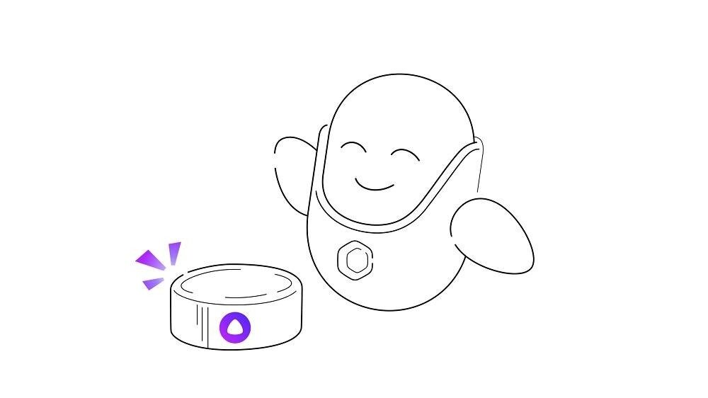    Ассистенты