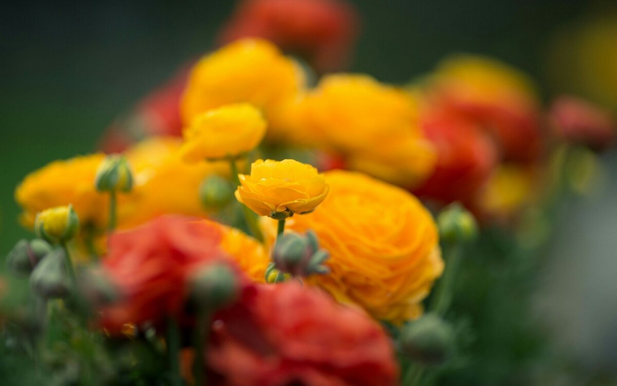 Фото из интернета