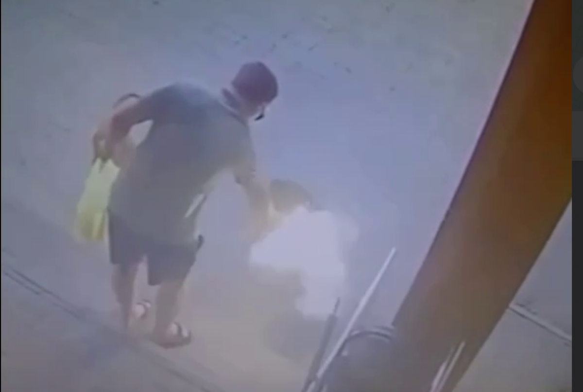    Волгоградцы рассказали о спасении собаки, расстрелянной живодером