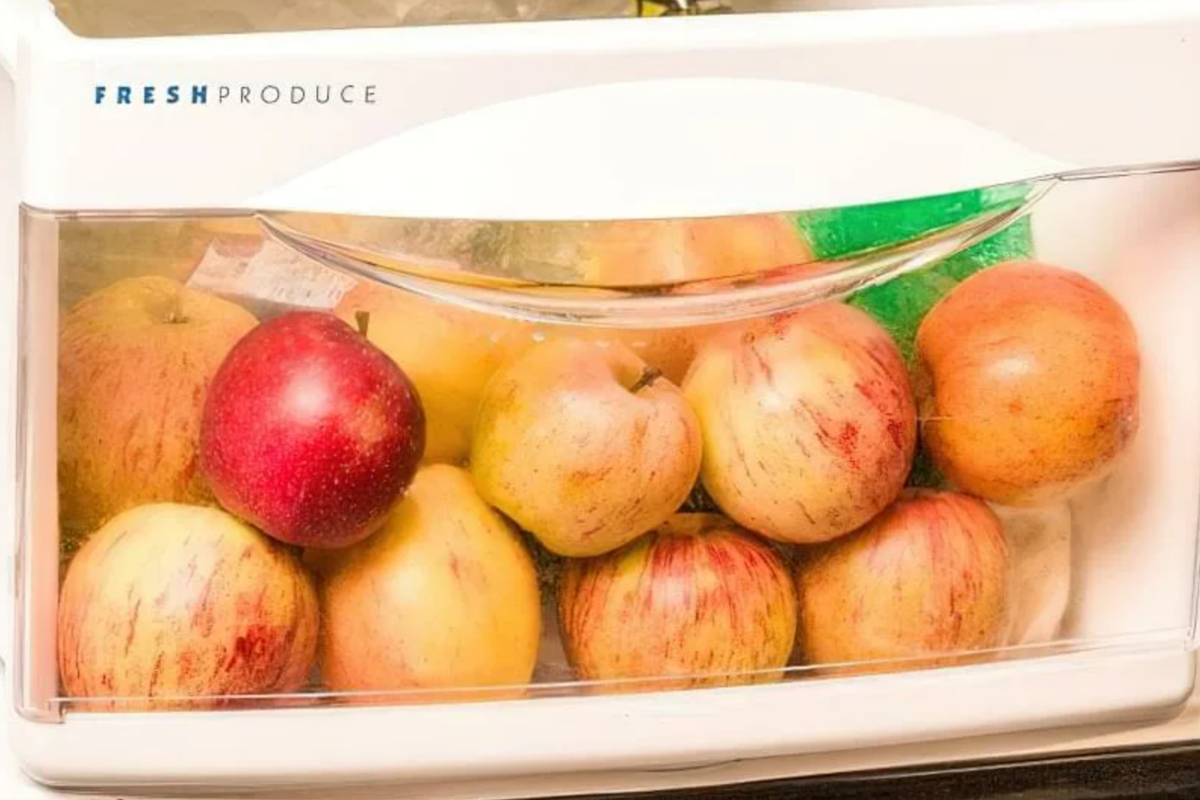 Сколько яблок в холодильнике. Холодильник для хранения яблок. Яблоки в холодильнике. Яблоки в холодильнике хранятся. Как хранить яблоки в холодильнике.