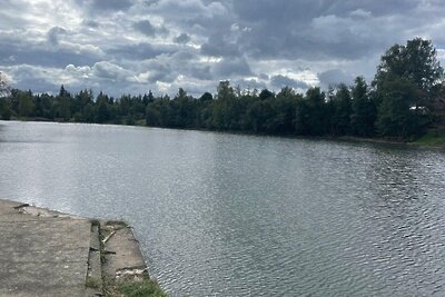    Пруд в деревне Степаньково в Мытищах © Пресс-служба Министерства экологии и природопользования Московской области