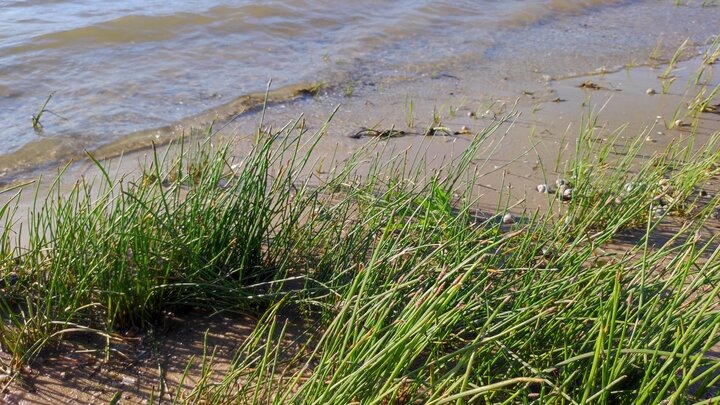 Фото: Царьград Ростов-на-Дону 