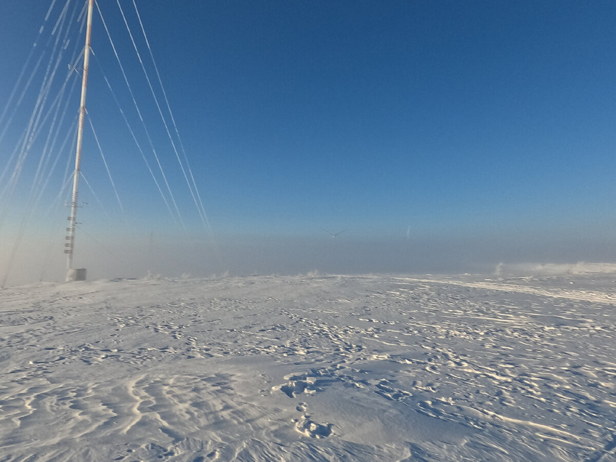 Нужно очень приглядеться