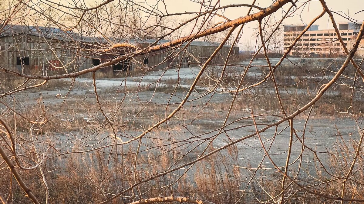     В Ростове продают участок в 400 соток на улице Нариманова, там предлагают построить высотные жилые дома, следует из объявления на «Авито».