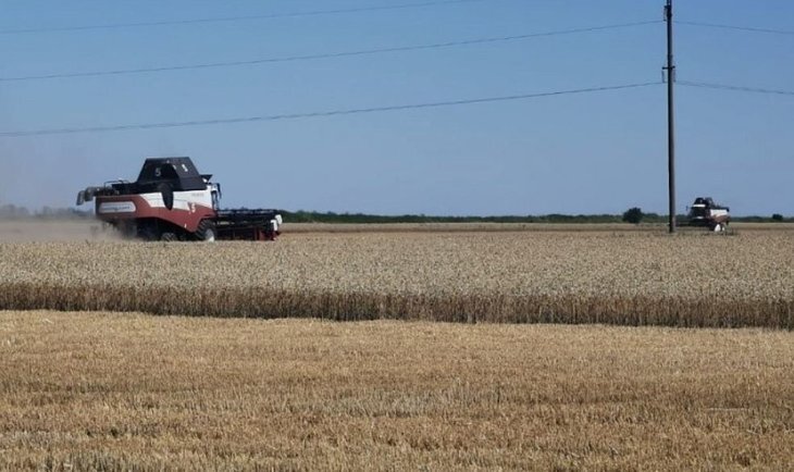    Более 40 агропредприятий в Краснодарском крае стали участниками нацпроекта «Производительность труда»