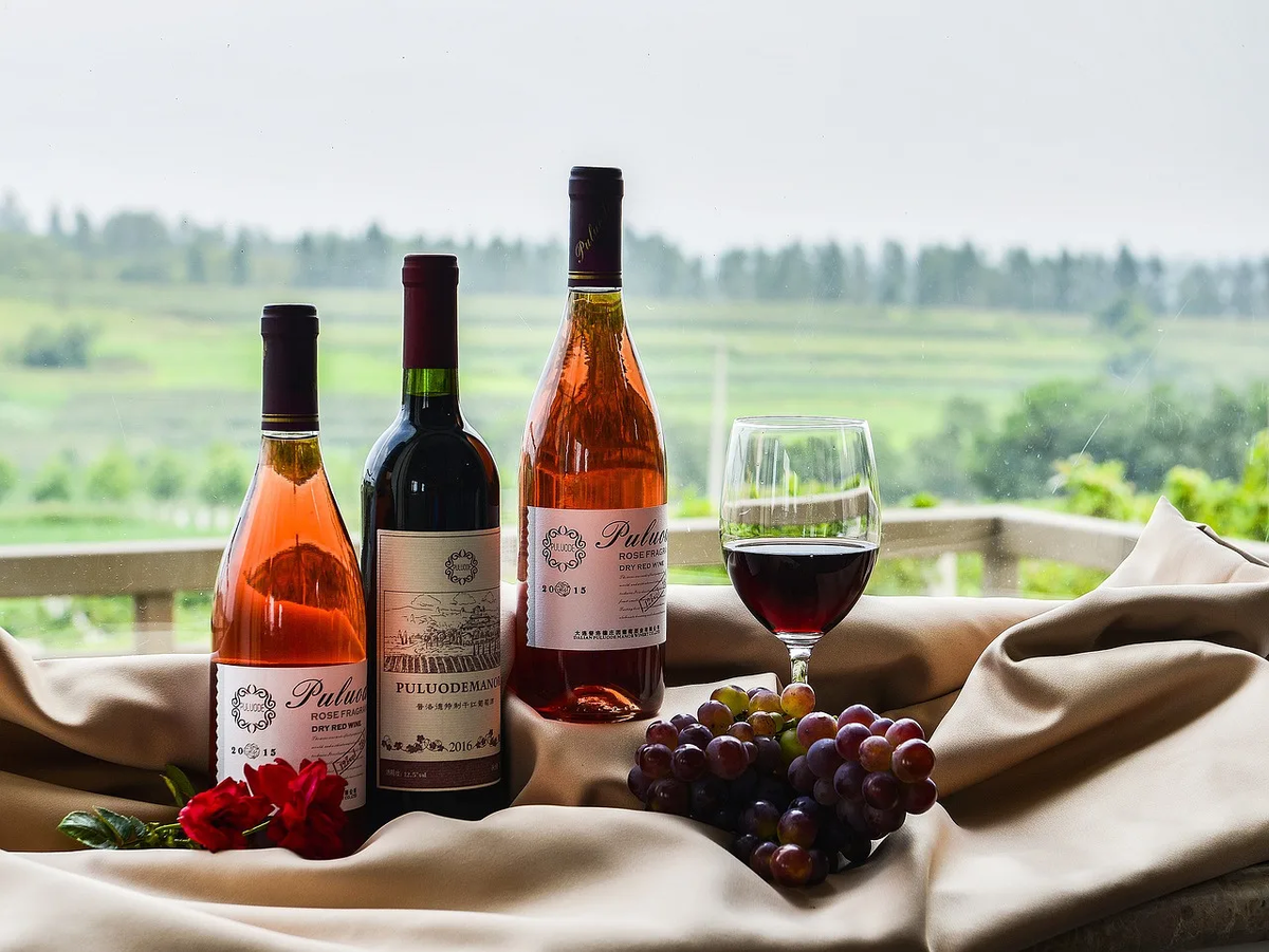 Винное сокровище Франции: расшифровка таинственной классификации АОС ...