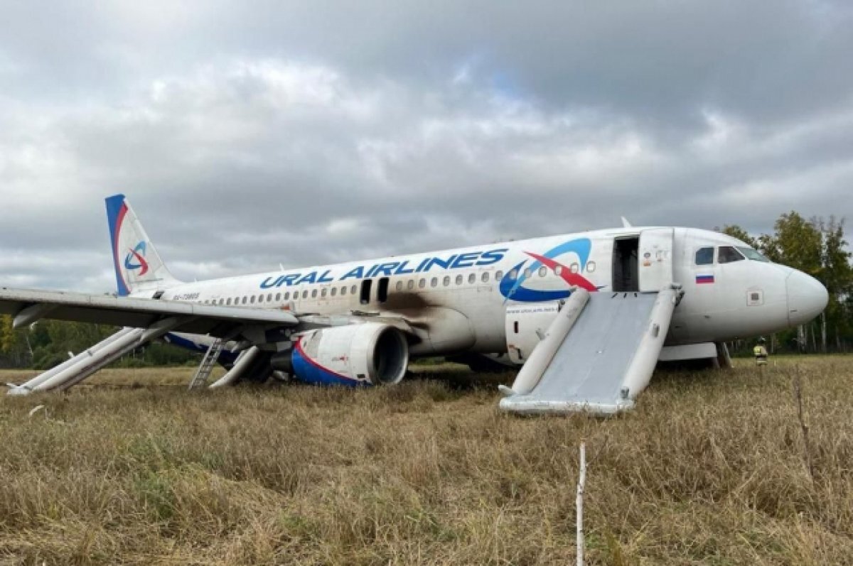 Опубликованы фото и видео самолета Airbus-A, севшего в поле под Новосибирском - вторсырье-м.рф