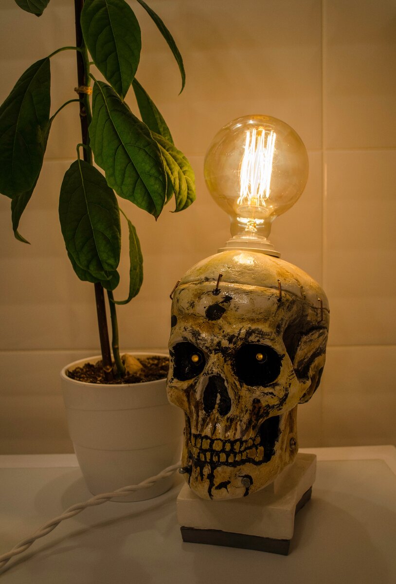 Любите ли Вы черепа, так же, как Индиана Джонс? 