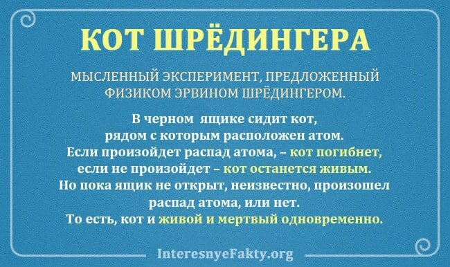 Кот шредингера презентация