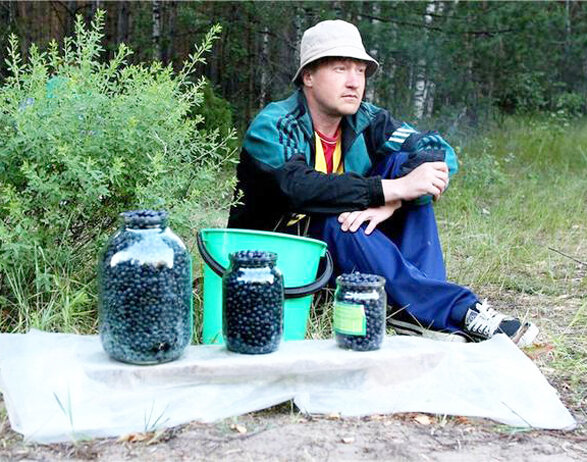 продажа черники