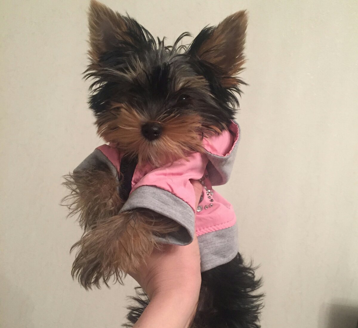 Фото автора истории. 