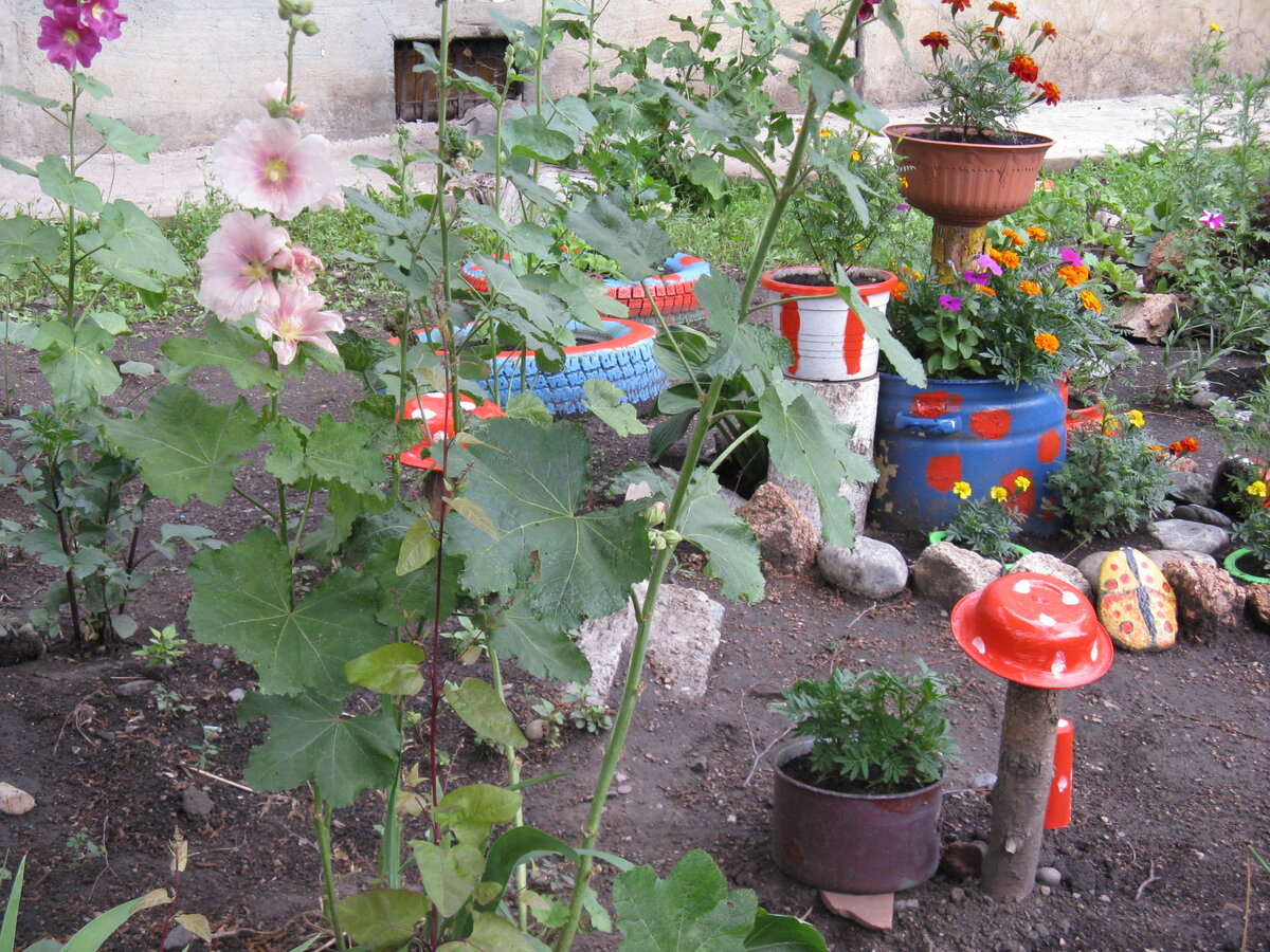 Универсальная жемчужница — идеальный выбор для дизайна сада и поддержания здоровья