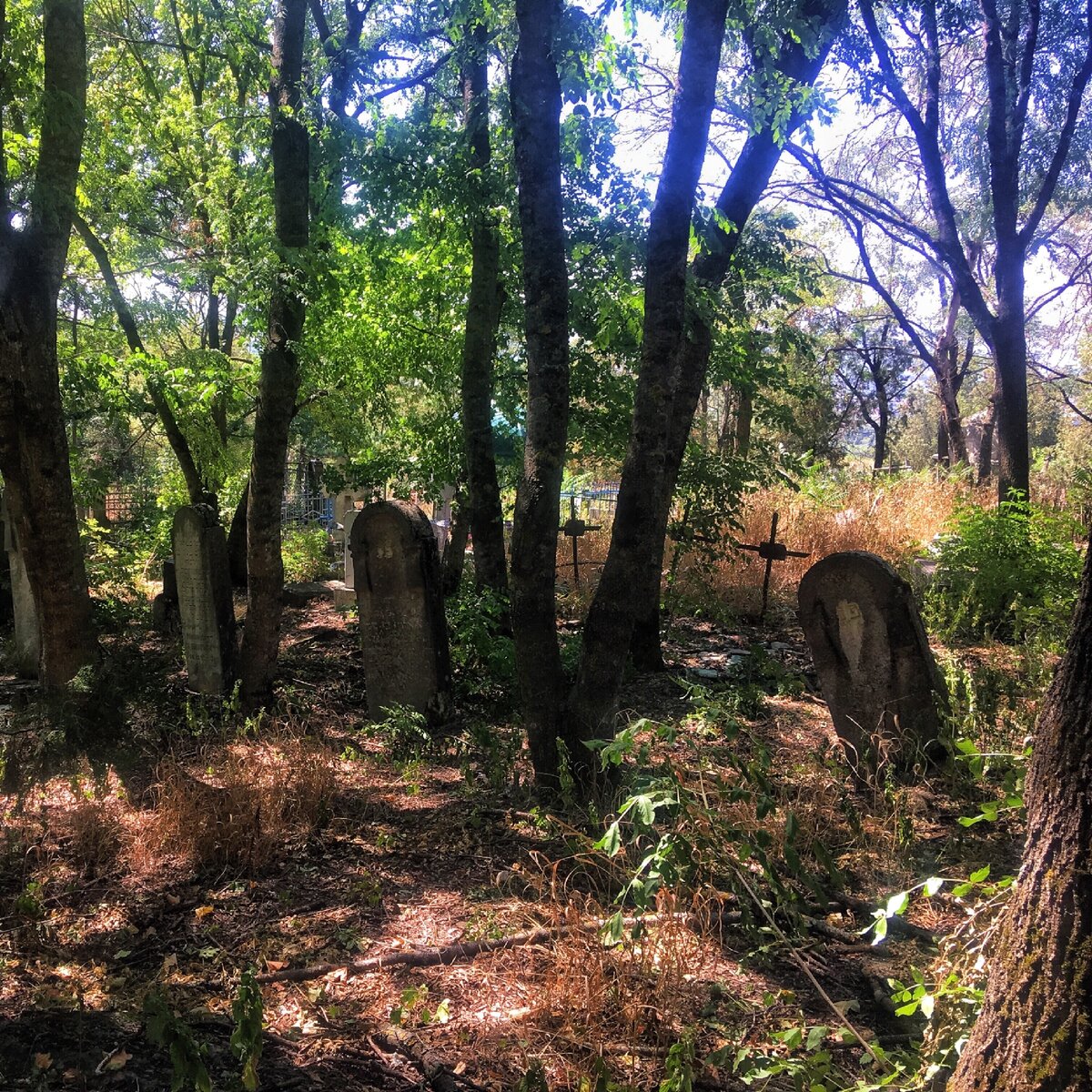 Могилы позапрошлого века