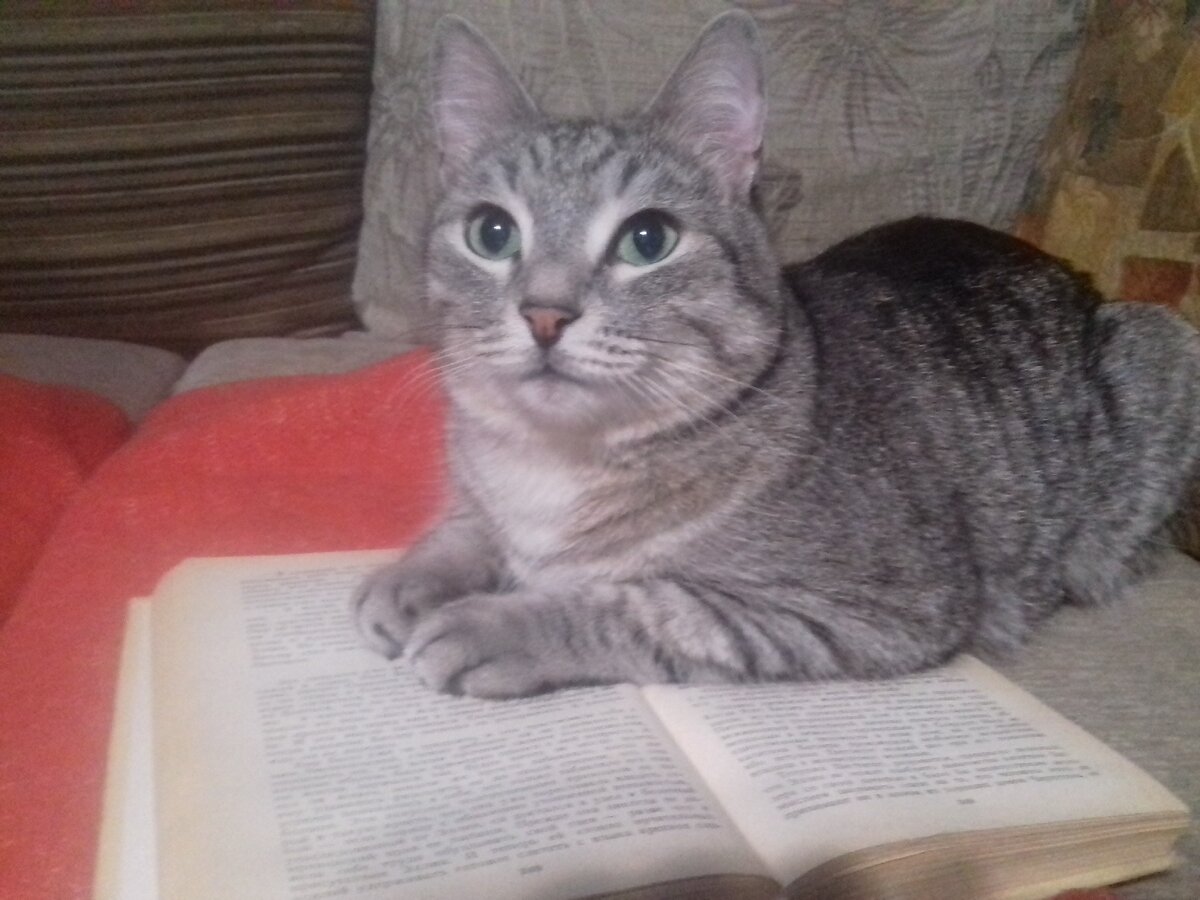 Наш именнник Семён. Не мало книг он прочитал за эти годы)) 