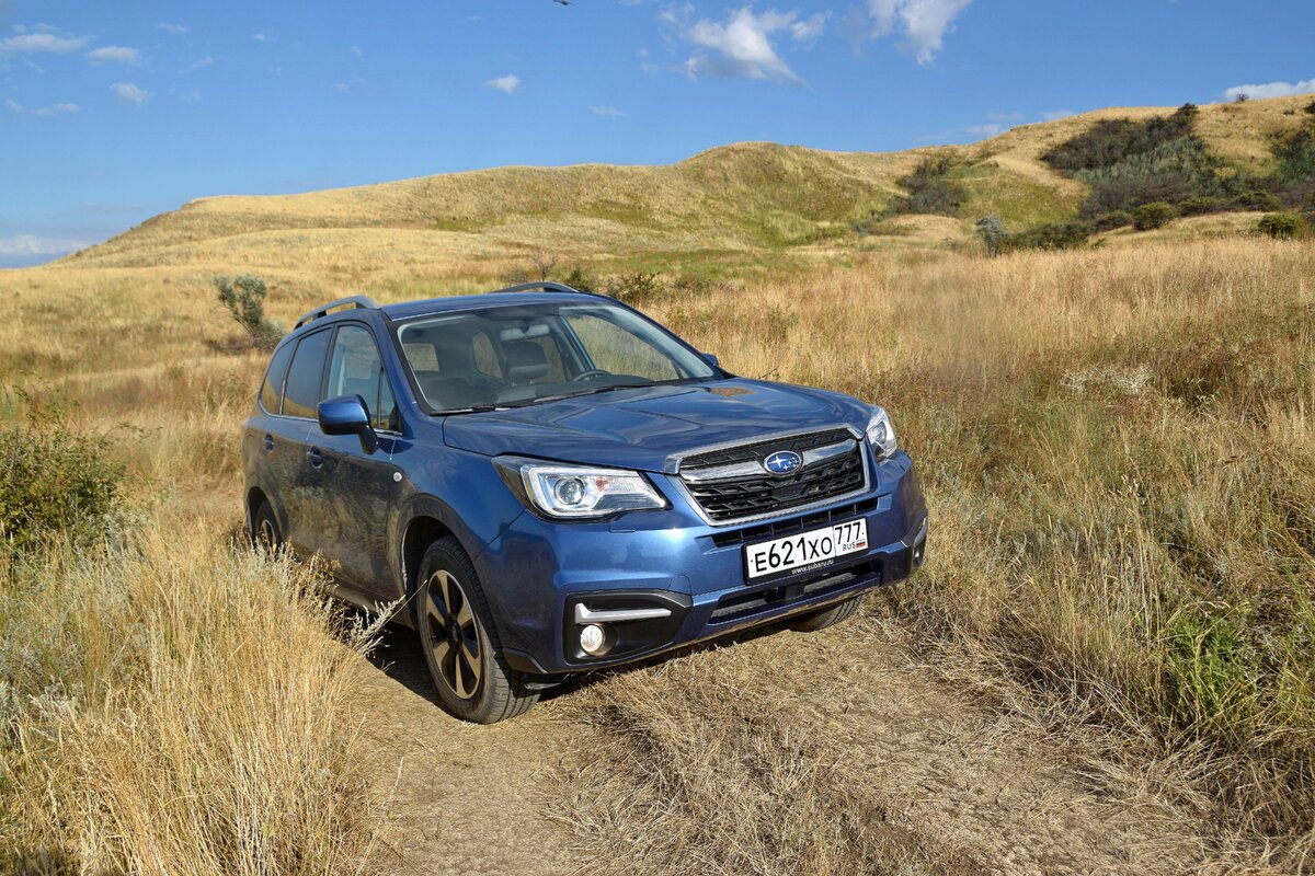 НА SUBARU FORESTER К АЗОВСКОМУ МОРЮ | АВТОТУРИСТ | Дзен