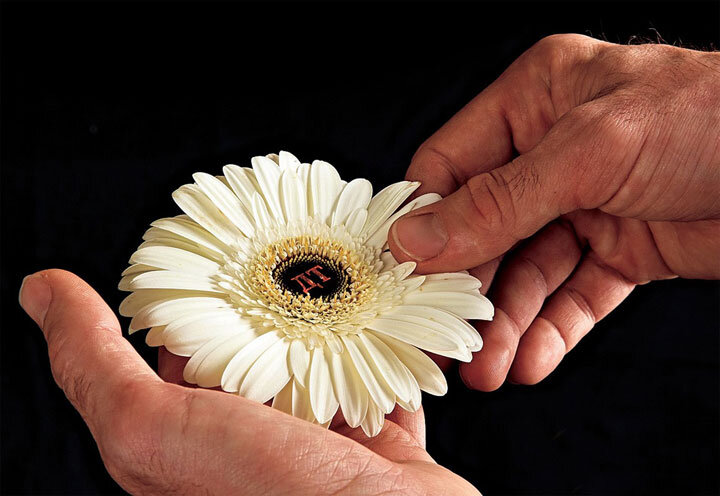 Что лучше: горя не знать или гадать – перезимуем/не перезимуем?Фото zr.ru