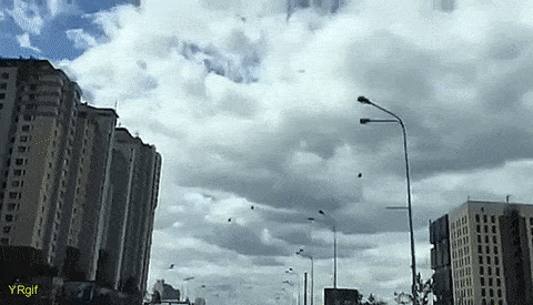 Засмотрелся на вертолет