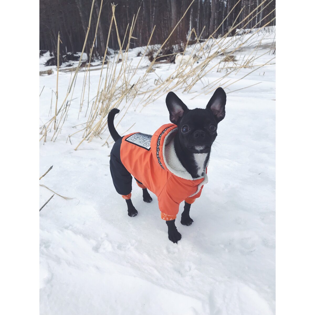                                                       Я в новой куртке, но пока еще без обуви...