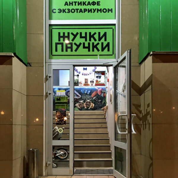 Антикафе «Жучки-паучки»