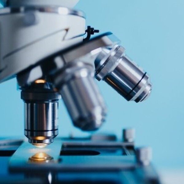 картинка взята из интернета