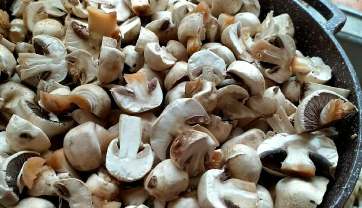  Грибочки помыть и нарезать небольшими кусочками