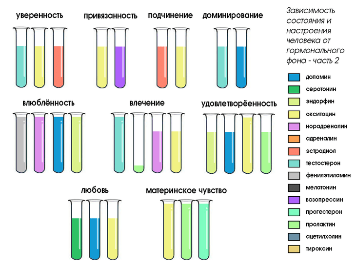 Изображения взяты из открытых источников