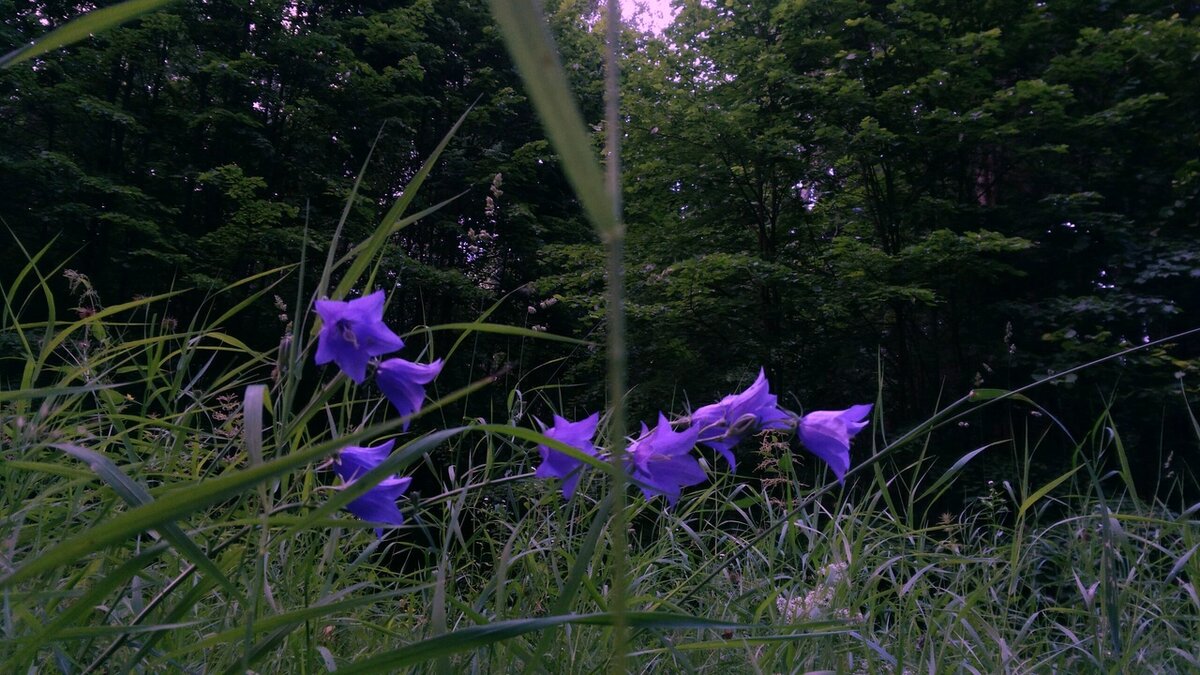 фотографии автора