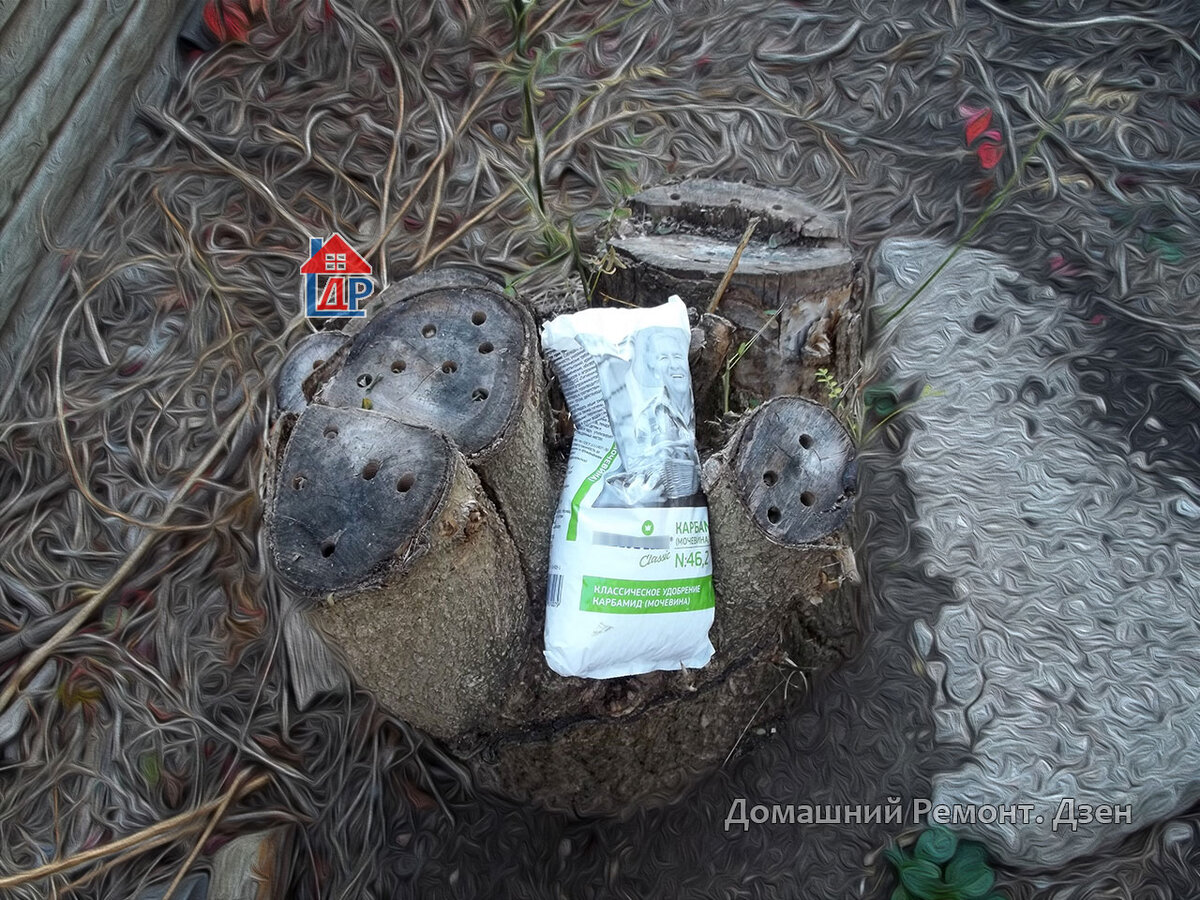 Борьба с пнём