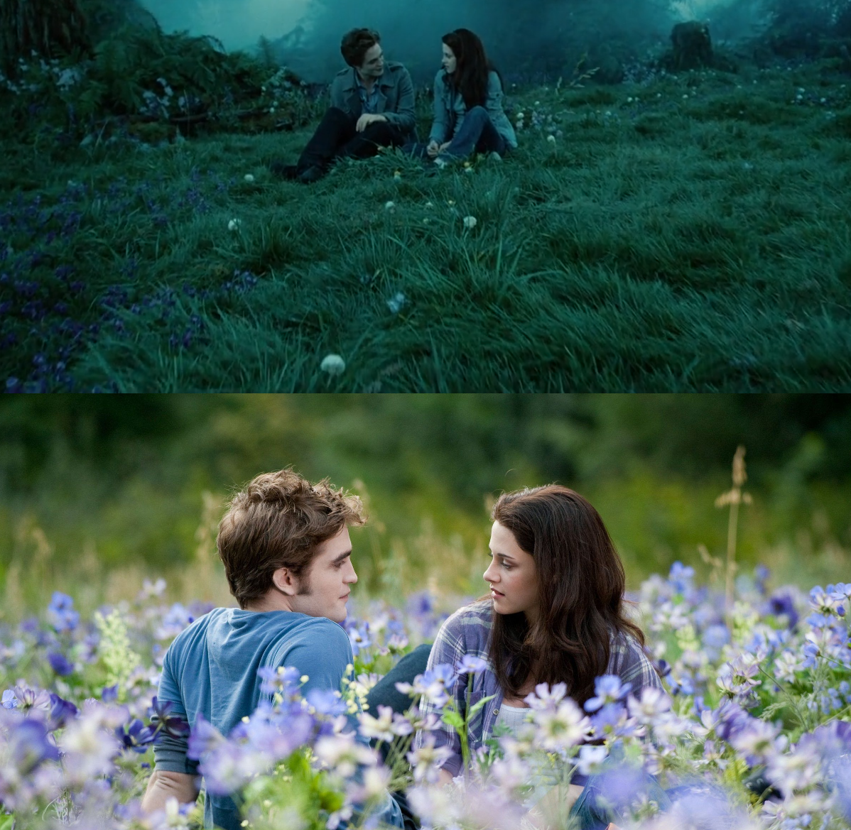 Природа в "Сумерки" / природа в "Сумерки: Затмение"