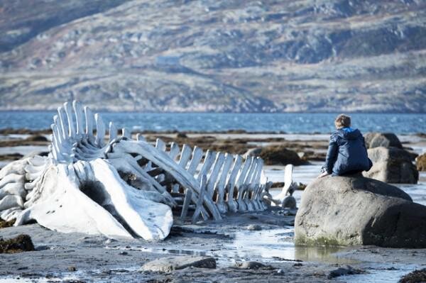 Левиафан умер?