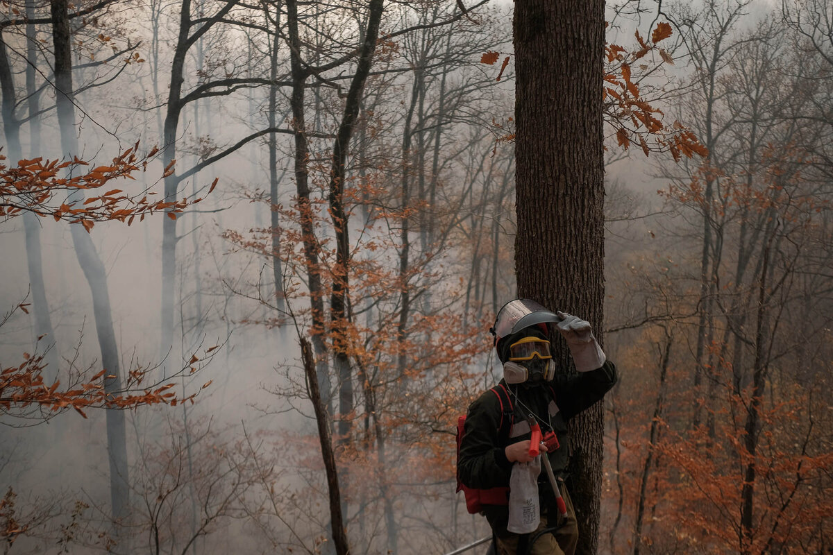 Здесь и далее фото Николая Хижняка, Кубань 24  