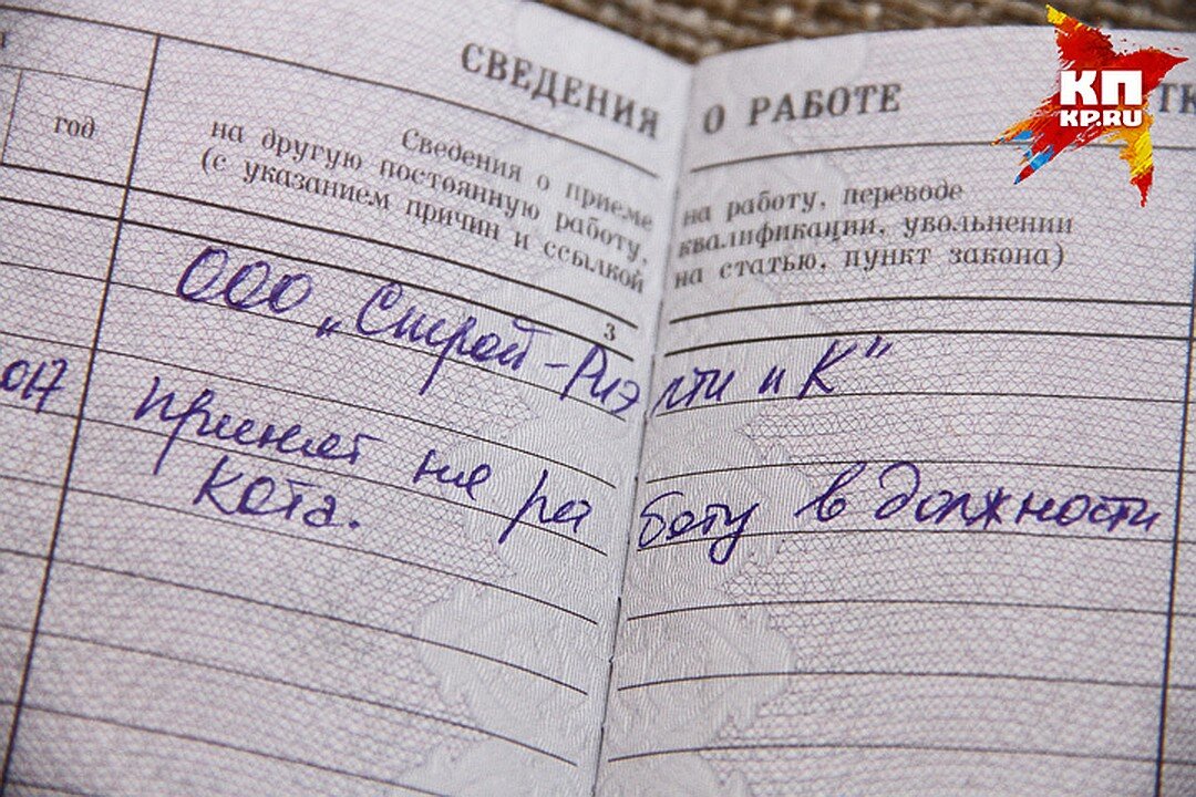 фото из открытых источников