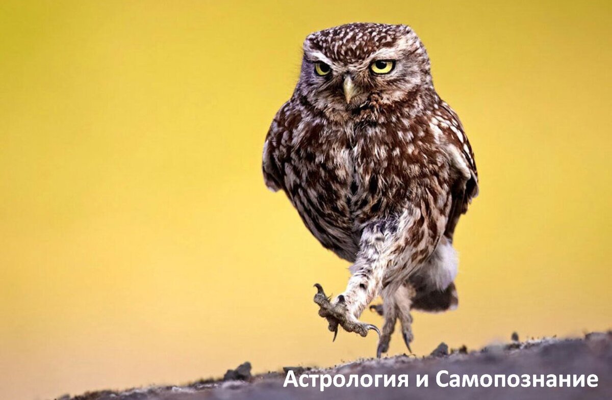 Кто ты на самом деле?