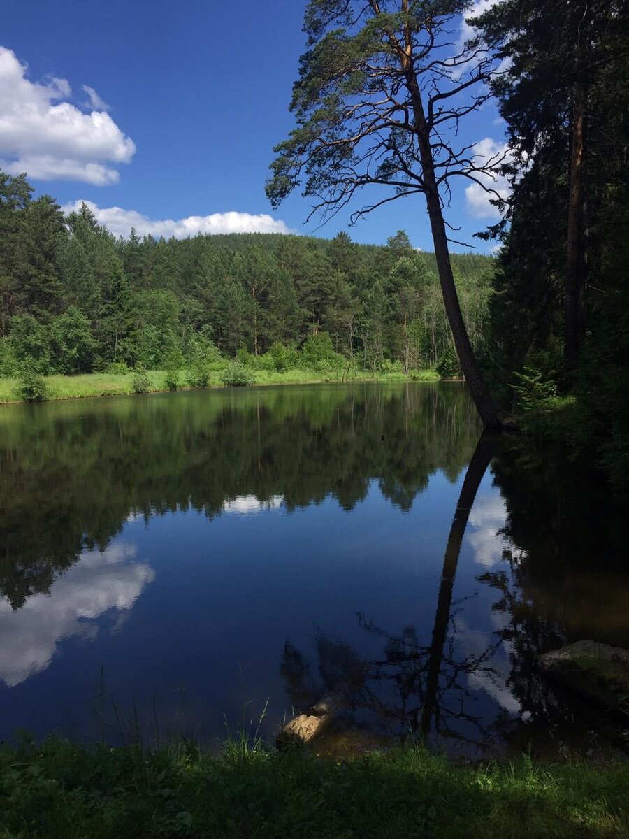 фото автора. Та самая прогулка во имя простых человеческих радостей