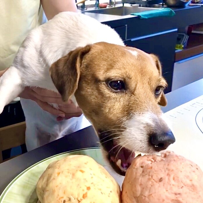 Вкусняшки для собак своими руками