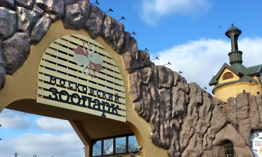 Московский зоопарк. Фото: mosprogulka.ru