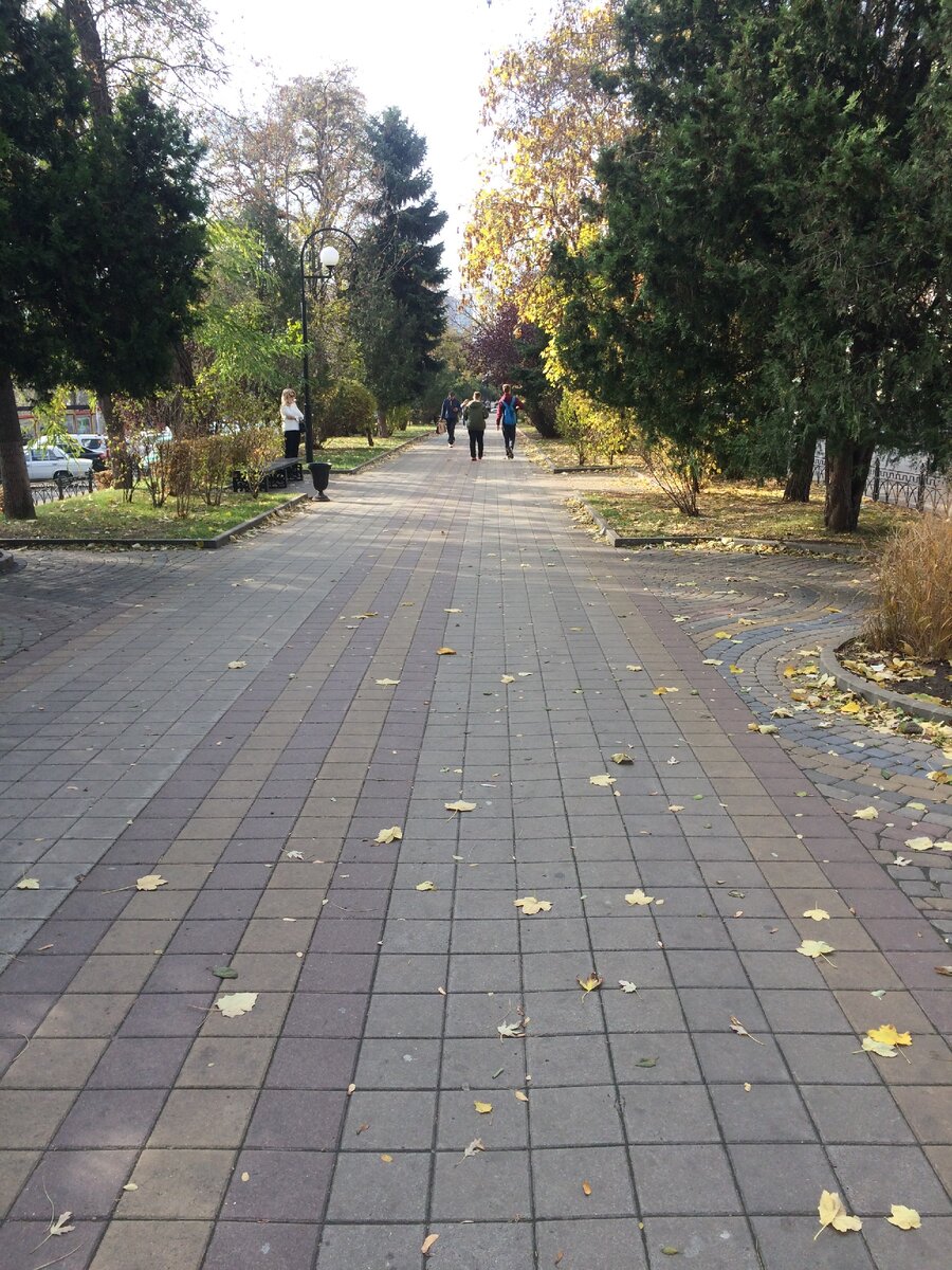 любимое место прогулок ростовчан ул.Пушкинская 
