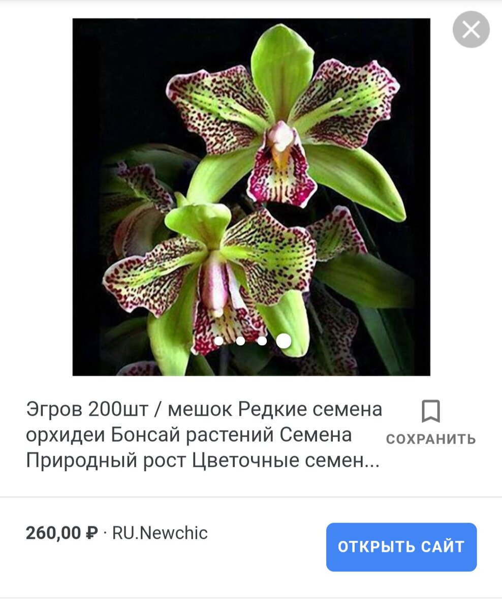 Продажа семян