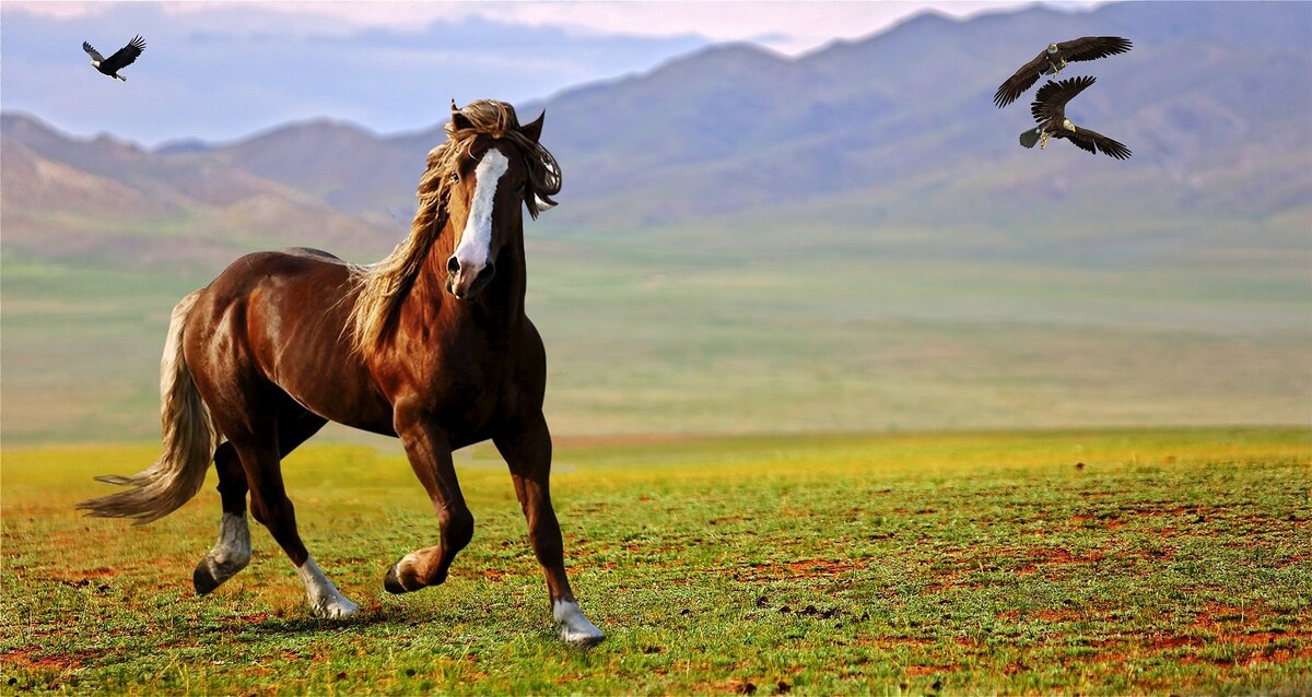фото: pixabay