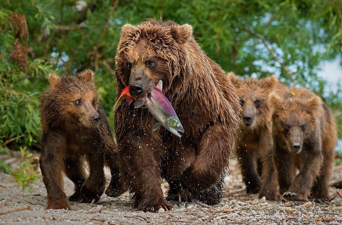Фото взято из открытых источников.