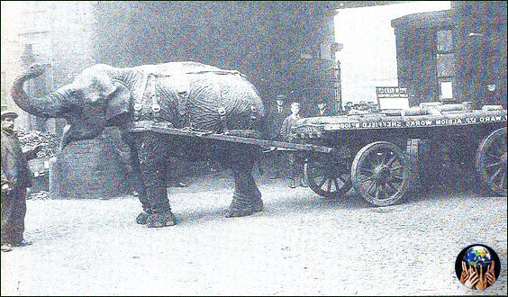 Слон Лизи- "промышленный" талисман Шеффилда